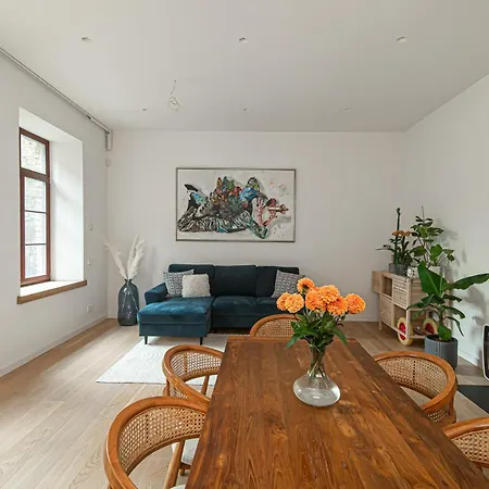 Spacious Apartment In Historical District With Free Parking Apartamento